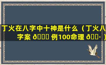 丁火在八字中十神是什么（丁火八字案 🐛 例100命理 🌷 ）